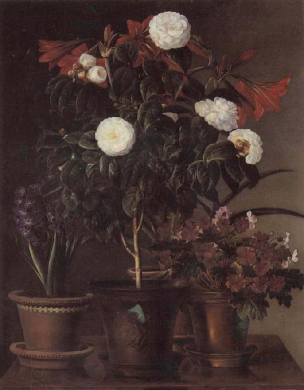 Jensen Johan Gardenia and Amaryllis oil painting picture